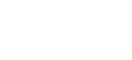 Elfori Group